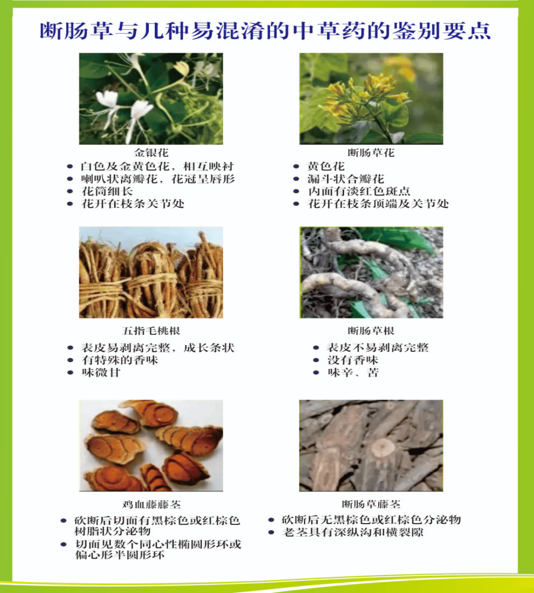 温馨提示！不采摘、不买卖、不食野生蘑菇、野菜等野生植物