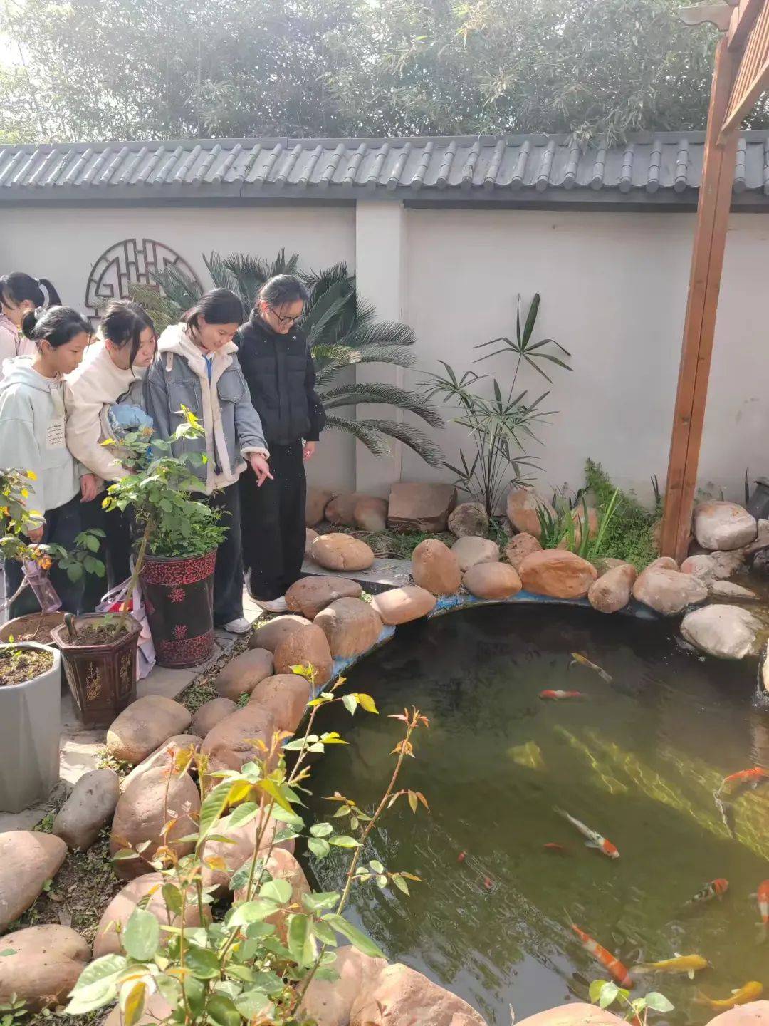 穰东镇仲景学校缅怀仲景先师传承中医文化