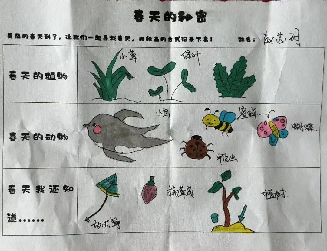 【园本活动】春天的秘密