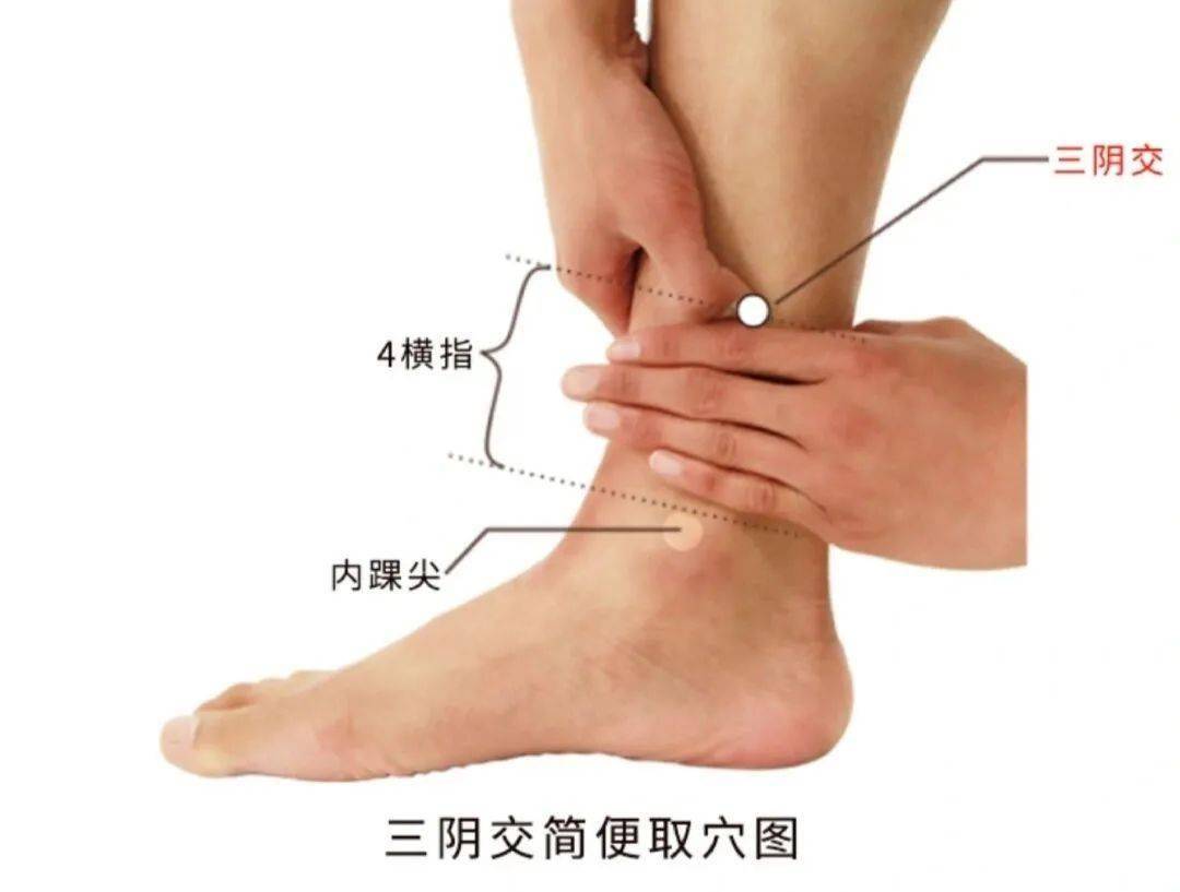 藏在脚踝的"万能开关",安神助眠,排水祛湿,活血补血,每天按一按,功效