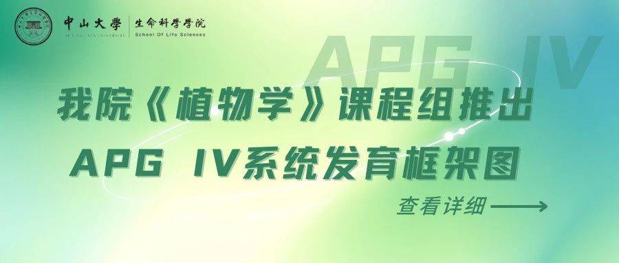 我院《植物学》课程组推出“一个简明的被子植物APG IV系统发育框架图”，简明实用。_分类_标本馆_油樟