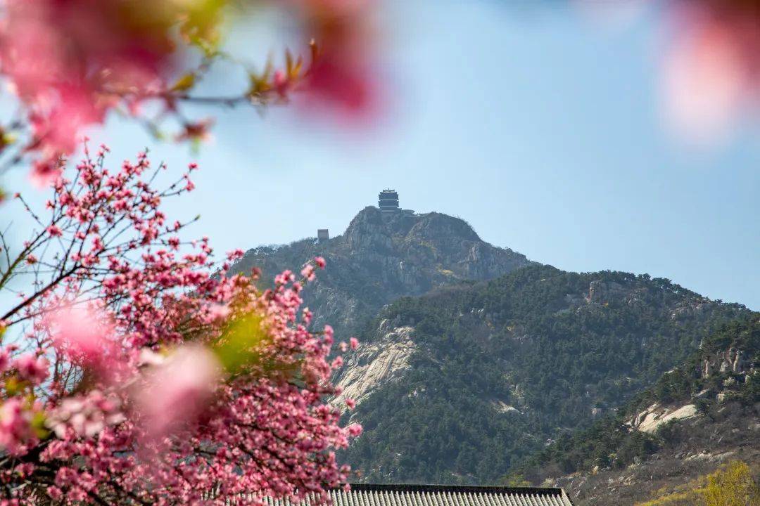 Binance Casino - 领先的数字货币娱乐场，安全稳定，极速存取“齐鲁1号”启程山东文旅各景区发出诚挚邀请