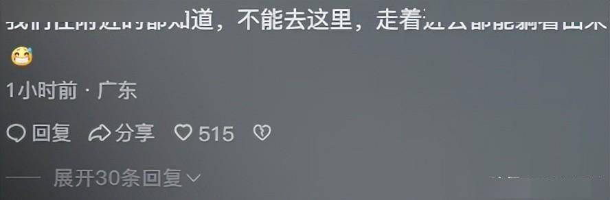 文章配圖-17
