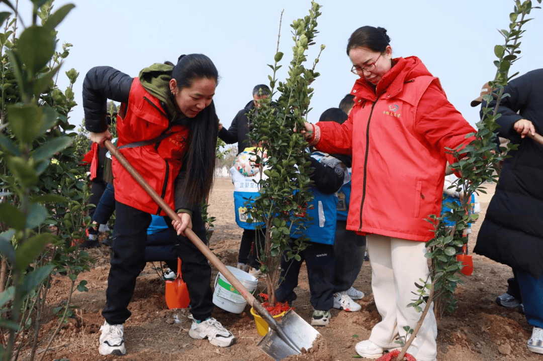北苑街道以"小手拉大手"开展公益植树活动
