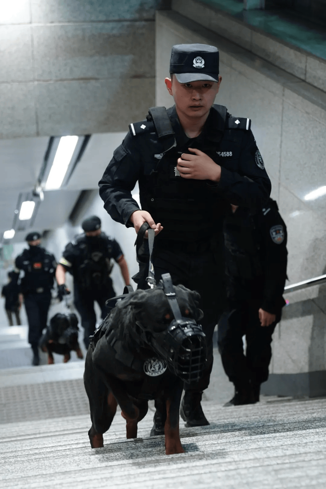 西安碑林公安巡特警开启"武装 警犬"巡逻模式