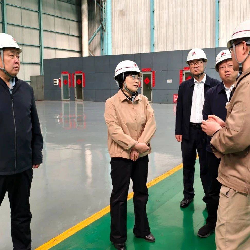 张玲对我市科技创新平台建设情况进行调研_河南省_企业_市人大常委会