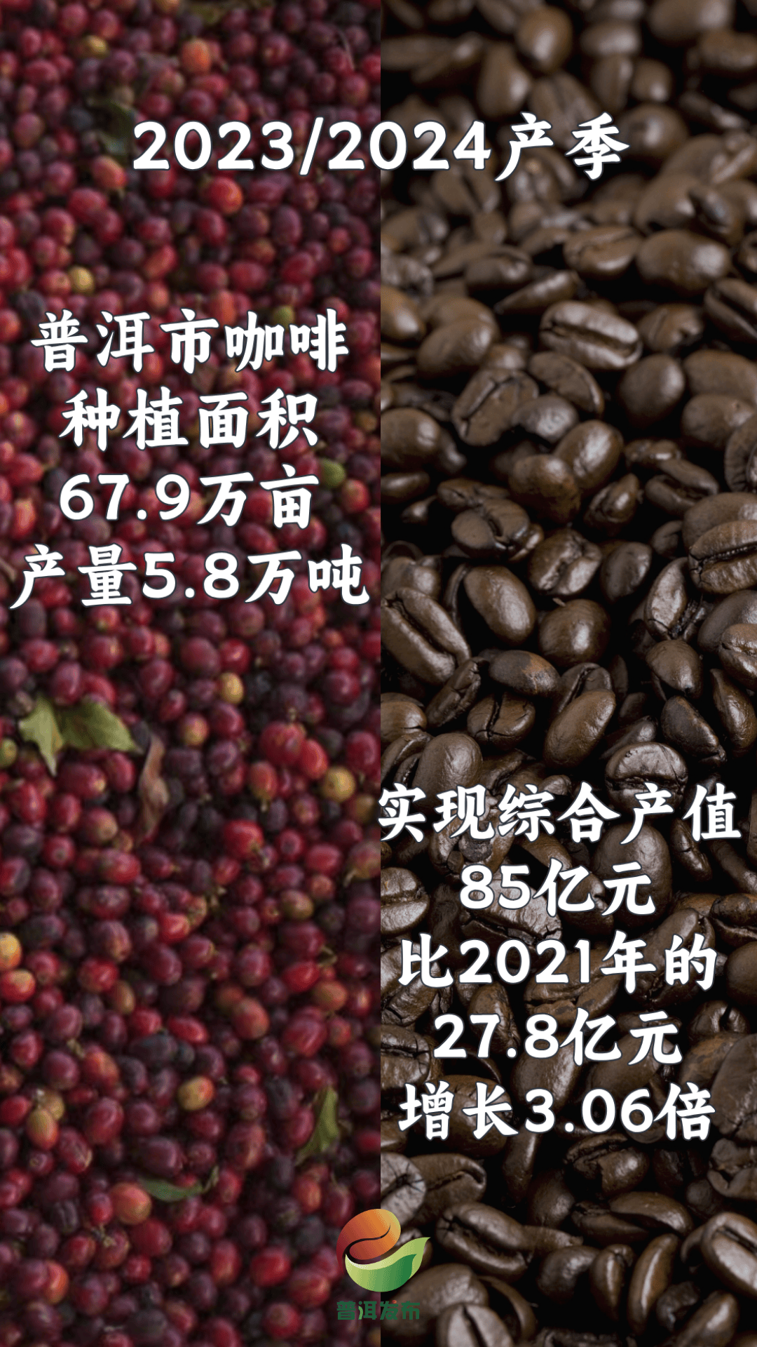 开云app“中国咖啡之都”何以名落普洱？(图4)