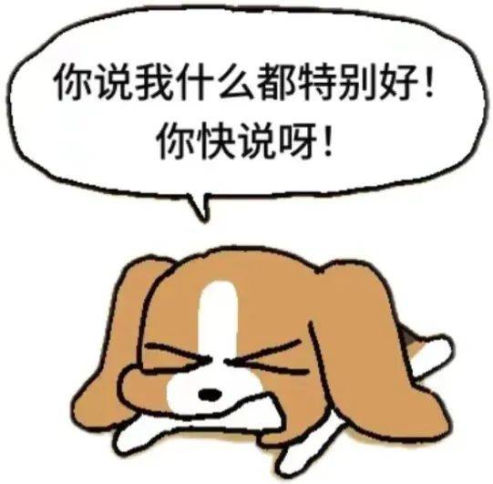 werwer 可爱比格多栋小狗表情包