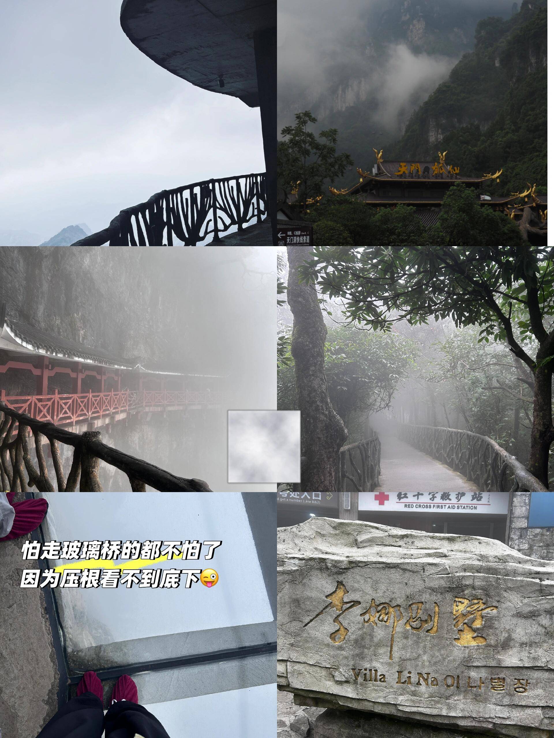 天津的旅行社排名榜最新(天津旅行社排名前十名联系电话)