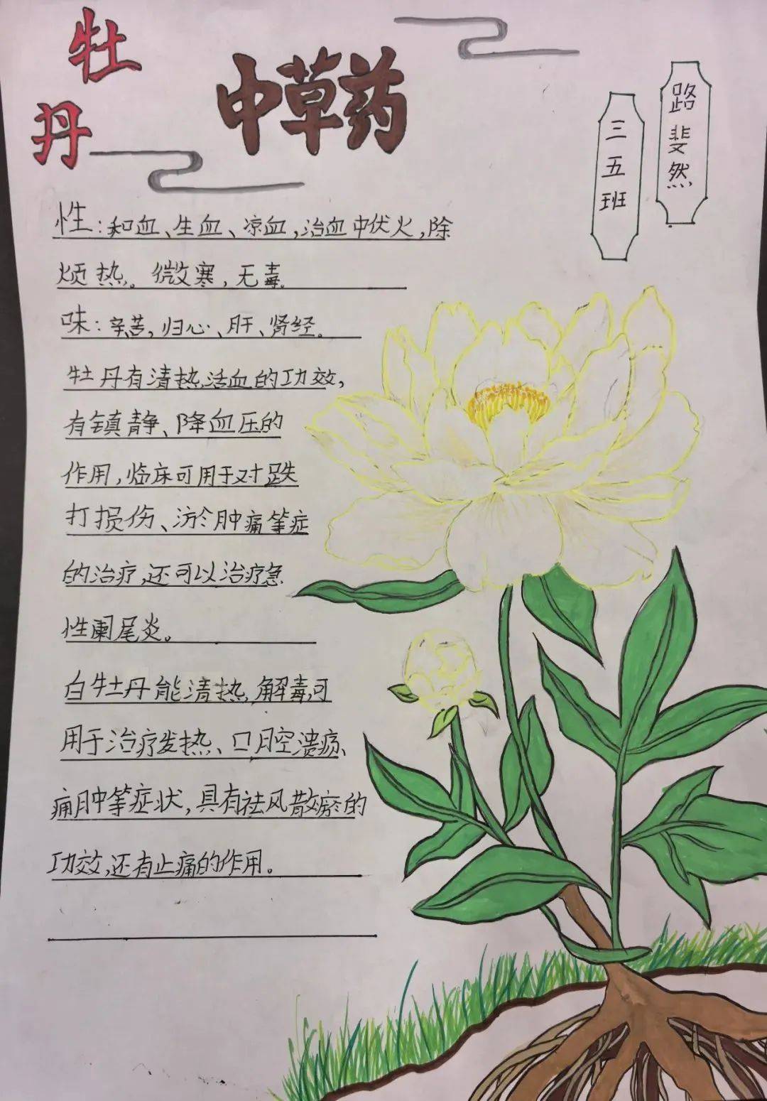 红领巾与牡丹共舞 河洛文化薪火相传