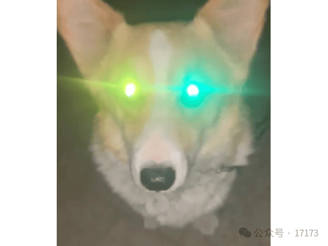 闪瞎网友17年,造就无数热梗的"氪金狗眼",竟是魔兽玩家杜撰的?