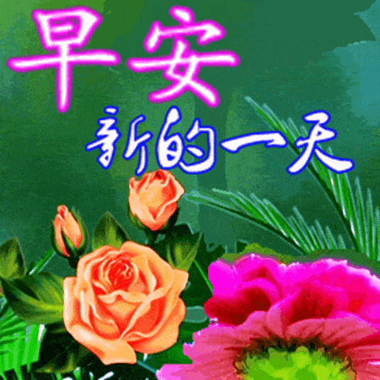 最新早上好表情包,美女唯美动态图片,2025平安健康,喜悦相伴