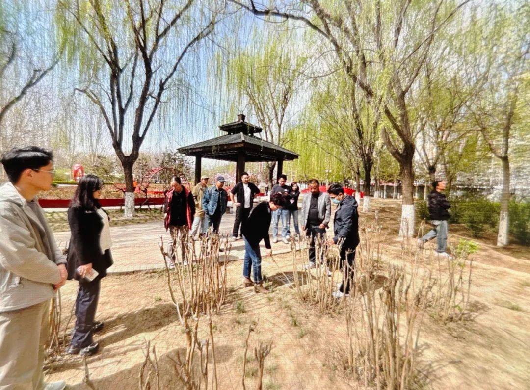 津南这里 — 凤凰联盟下载天津新增一大批公园美翻了(图23)
