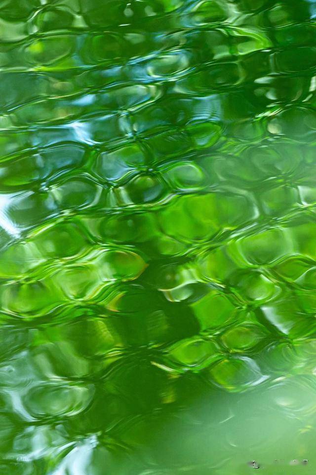 在绿色摄影作品中,绿水常常是画面中最灵动的部分