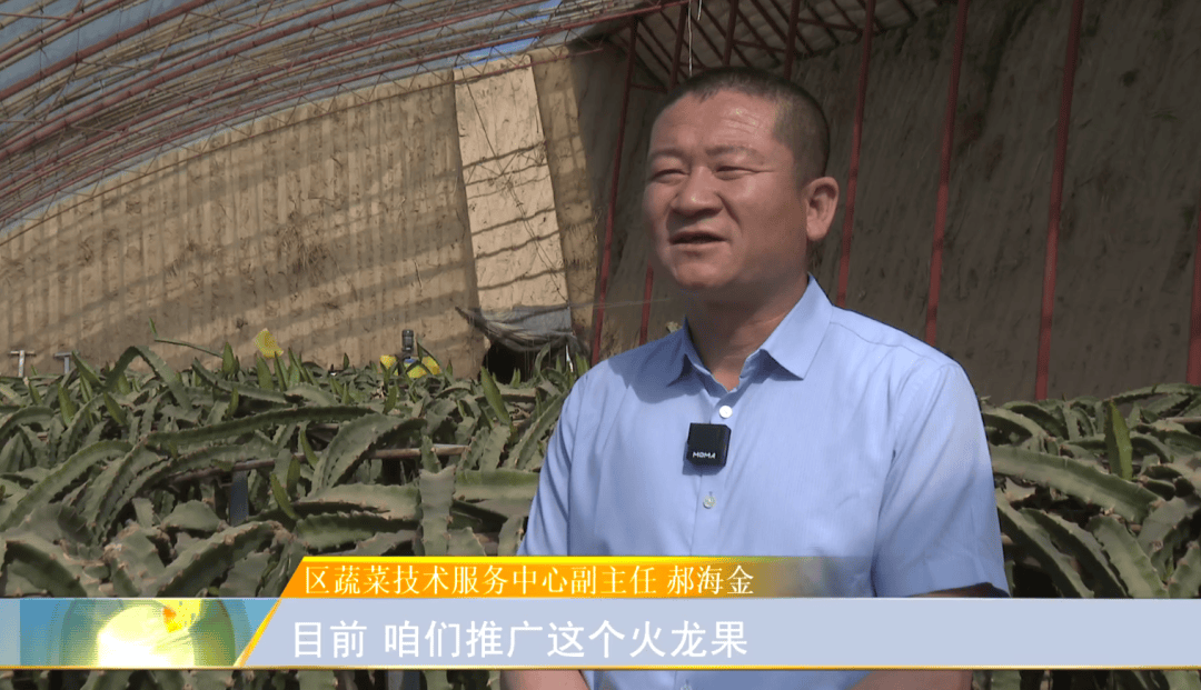 开云体育入口南果北种结硕果 致富路上燕窝甜(图3)