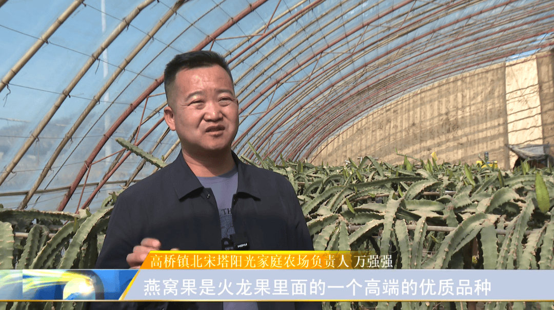 开云体育入口南果北种结硕果 致富路上燕窝甜(图1)