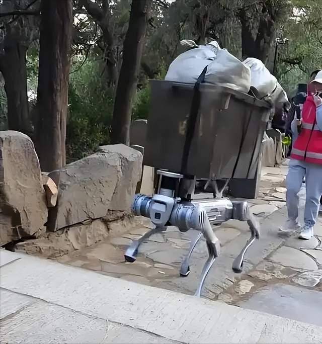 _河南省国内旅游收入_五一期间河南省旅游收入