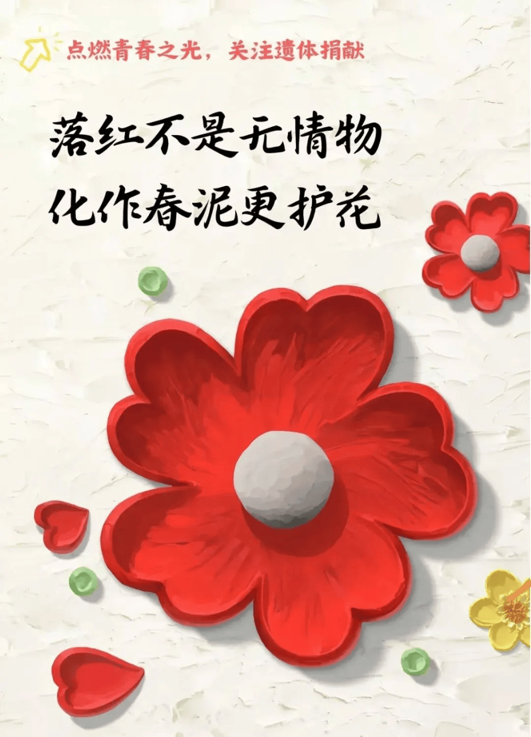 中国人体器官捐献知识宣传​