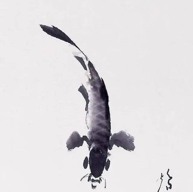 国画| 田世光笔下的小鱼儿，真快活！_搜狐网