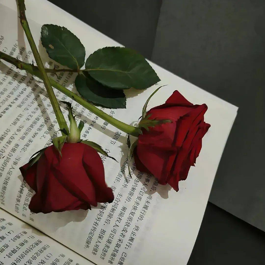 小众高级感精美干净简约背景图