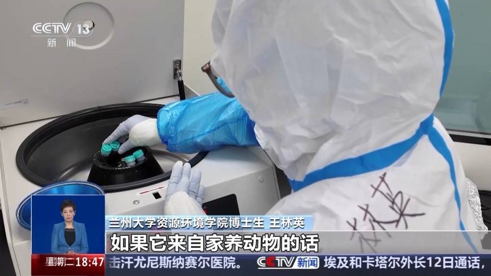 看看科学技术考古学如何恢复西藏马的良
