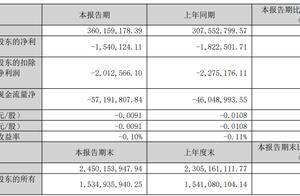 逸豪新材2025年第一季营收利润双增，62岁董事长张剑萌年薪79万元、享香港永居权