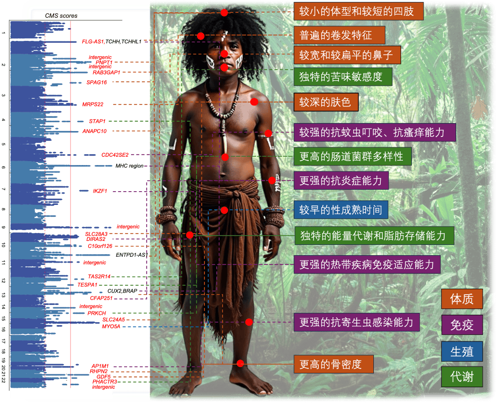 中国科学家牵头，这一人群基因组被破译！