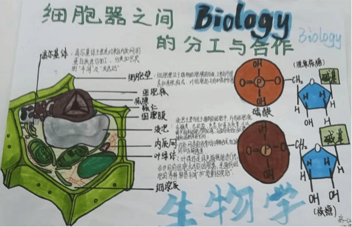 市一中学科教研室风采展示③ | 育科研繁花,绽教学芳华