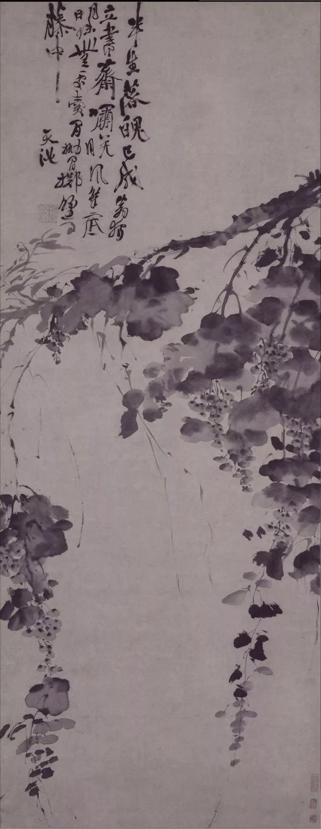 徐渭 《墨葡萄圖》