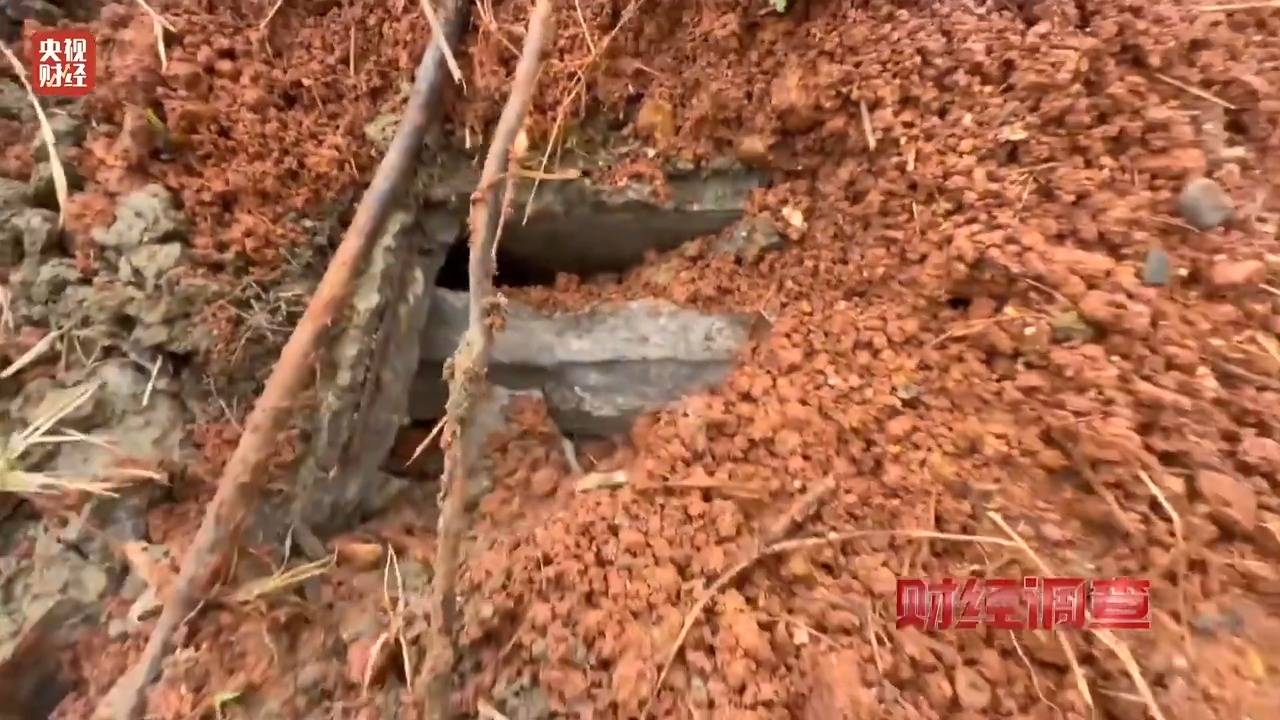 财经调查丨永久基本农田被垃圾掩埋！整改为何成“纸面工程”？