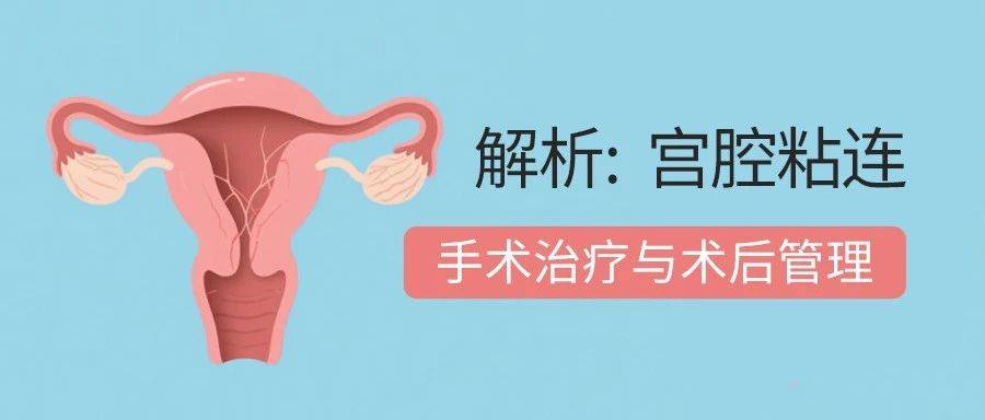 宫腔粘连(IUA):手术治疗与术后管理全解析_子宫_内膜_雌激素