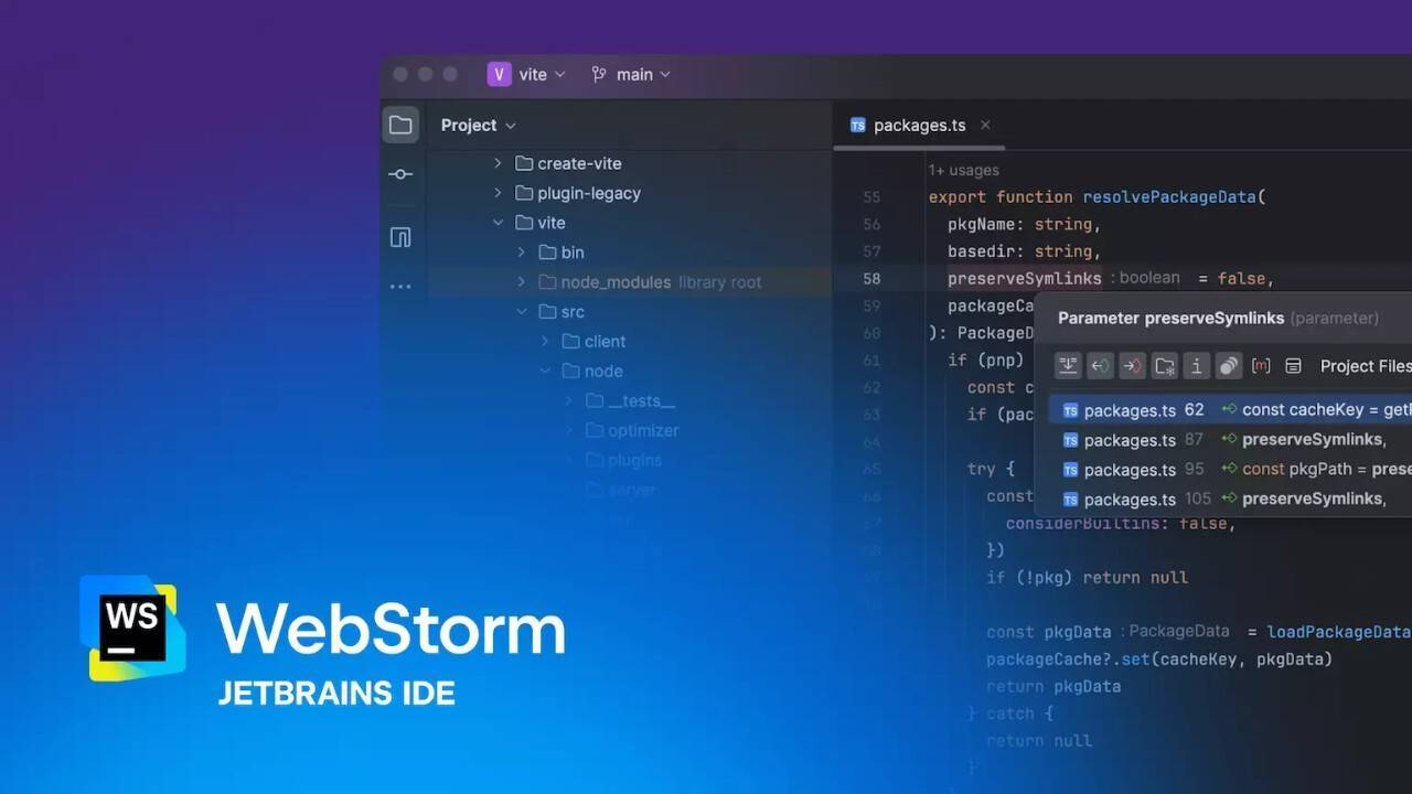 WebStorm 2025.2即将发布：性能优化，Bun包管理器支持增强_进行_版本_引擎