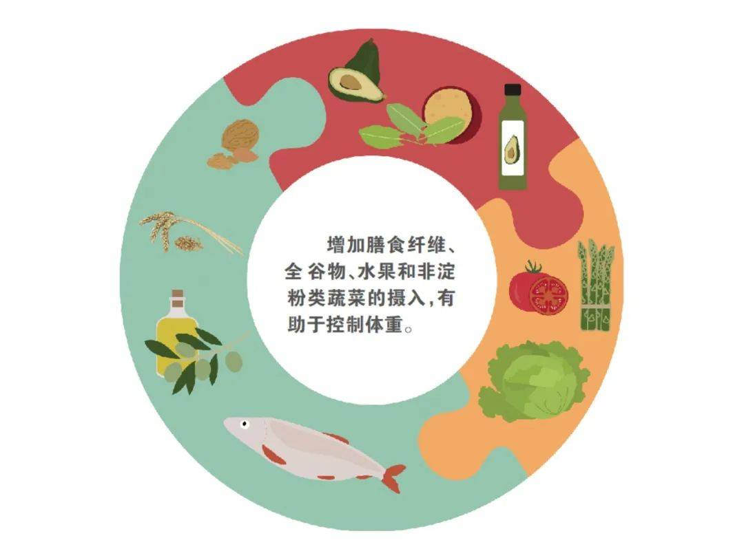 主食食物质量决定体重