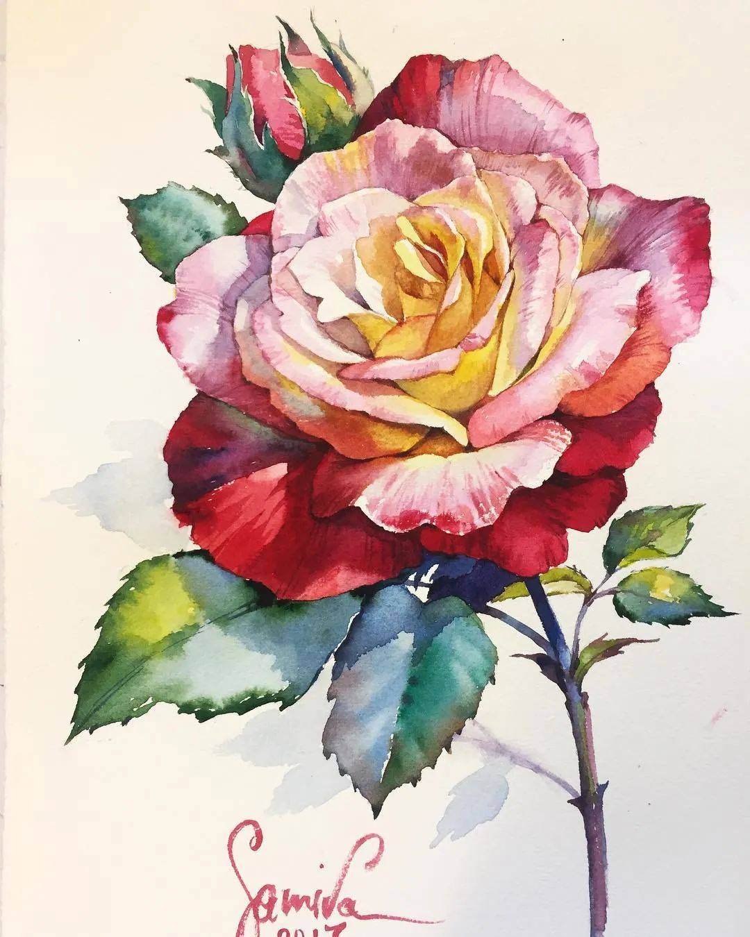 世界前100名的美女水彩画家,笔下超绚丽的花卉,酣畅唯美的风景静物,太