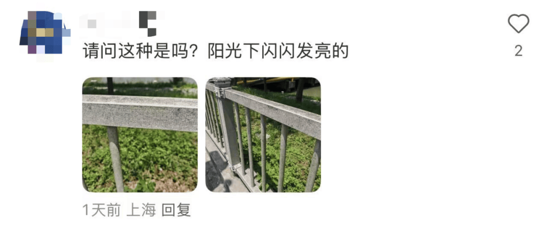 不要摸！不要摸！上海多区发现，有女子崩溃：去医院也清理不干净