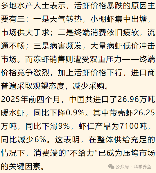 怎么批发活虾卖