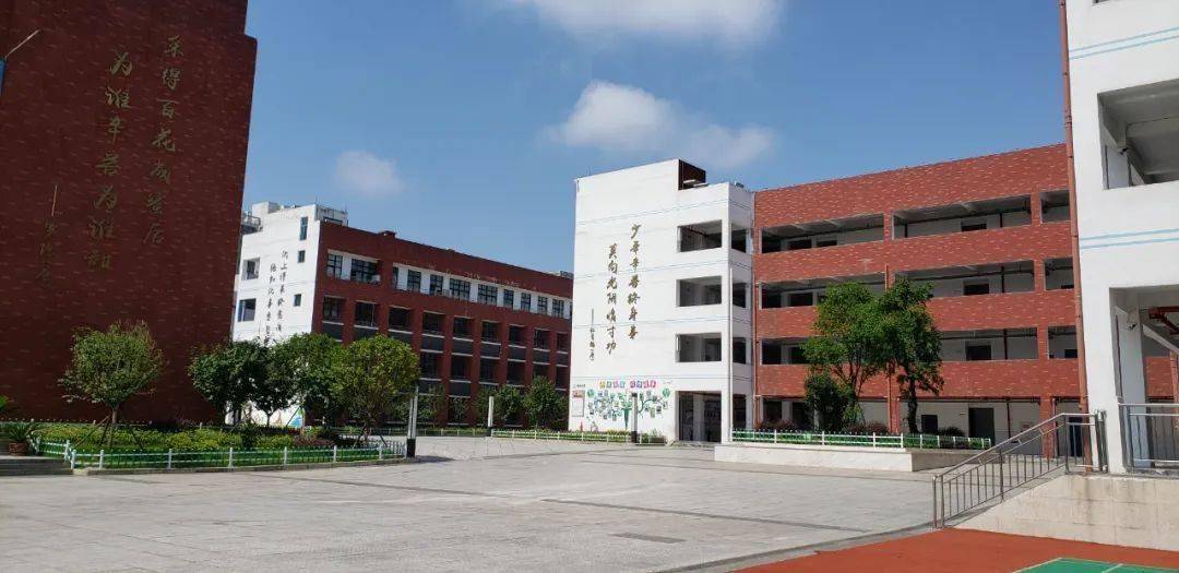 秀山县迎凤小学教育集团2025年一年级招生简章