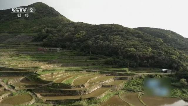 图片[10]-价格暴涨！大米频频被盗！日本什么情况？ -华闻时空