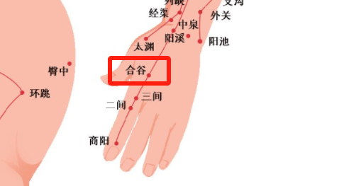 家有考生必看！穴位按摩提神指南，让复习状态拉满