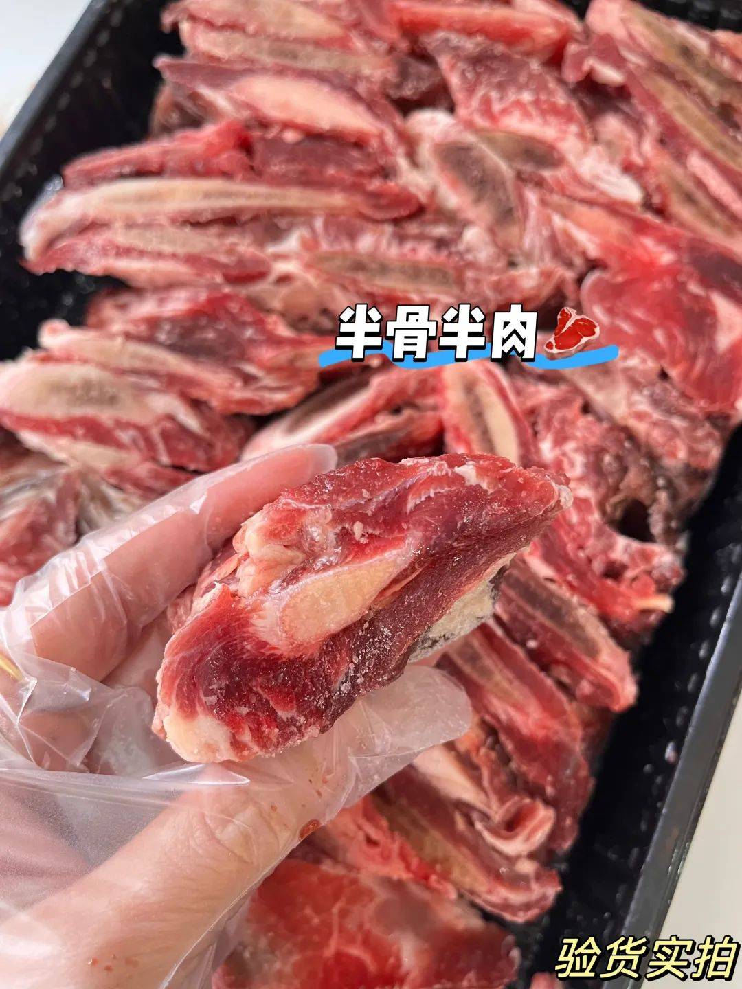 安格斯牛照片