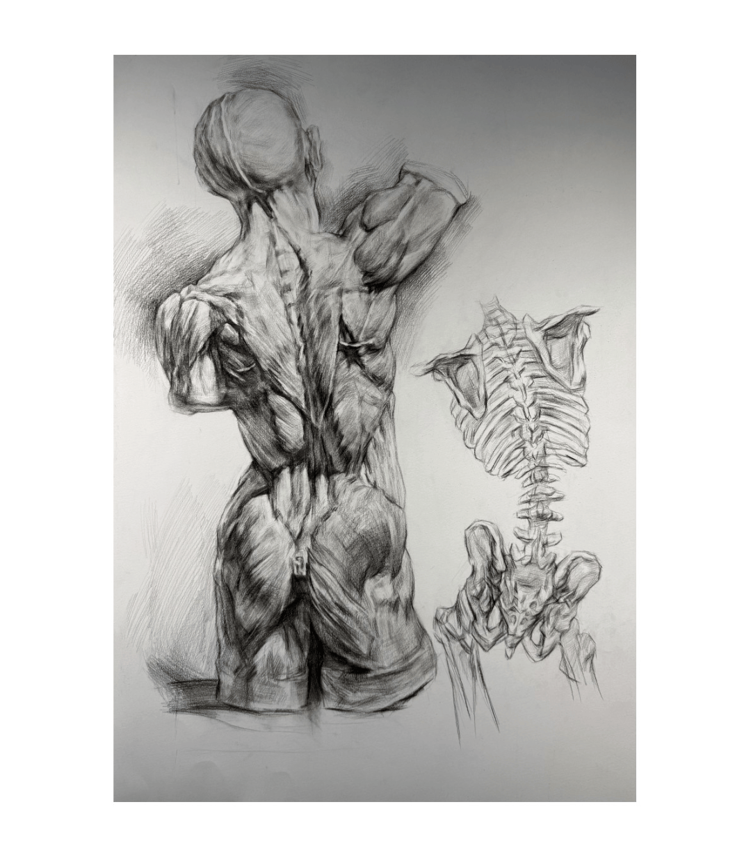 23美术学(师范)素描课程展