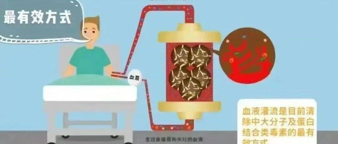 从险象环生到转危为安，血液灌流上演生命奇迹！这项“解毒利器”你了解吗？_救治_患者_治疗