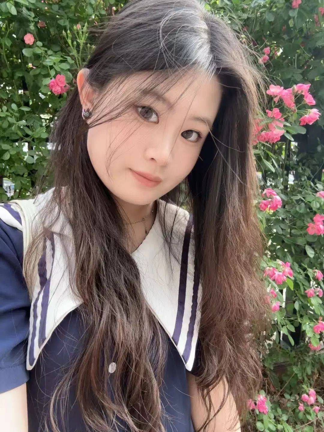 王艺枇杷树记