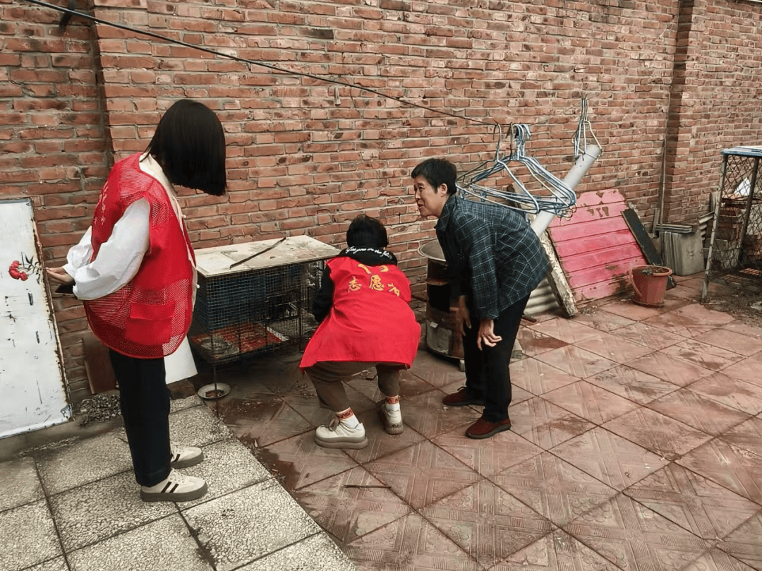 关于北京跑腿代办服务	房山区黄牛票贩子号贩子的信息