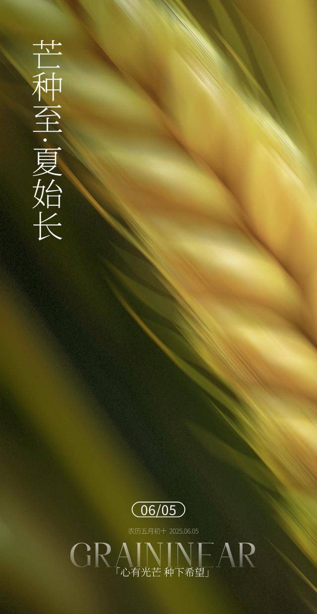 / 芒種 /
