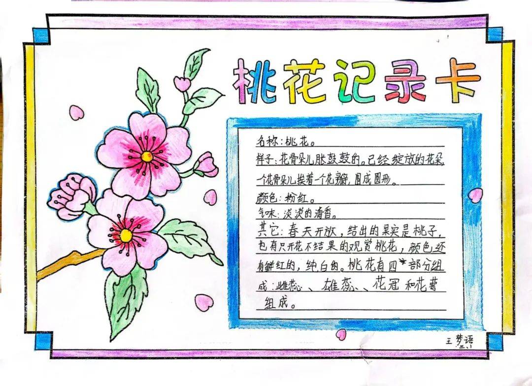 【宜阳学术节•作业展评】展作业新姿 评特色华章