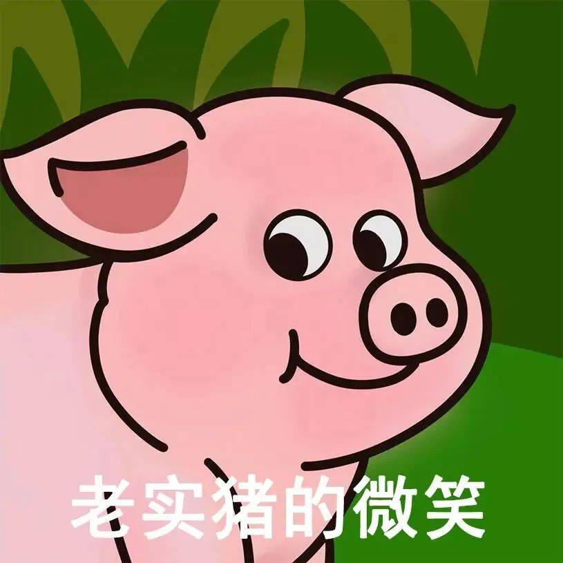 粉红火腿肠猪表情包