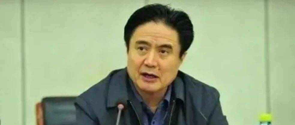 正部级罗保铭，被公诉