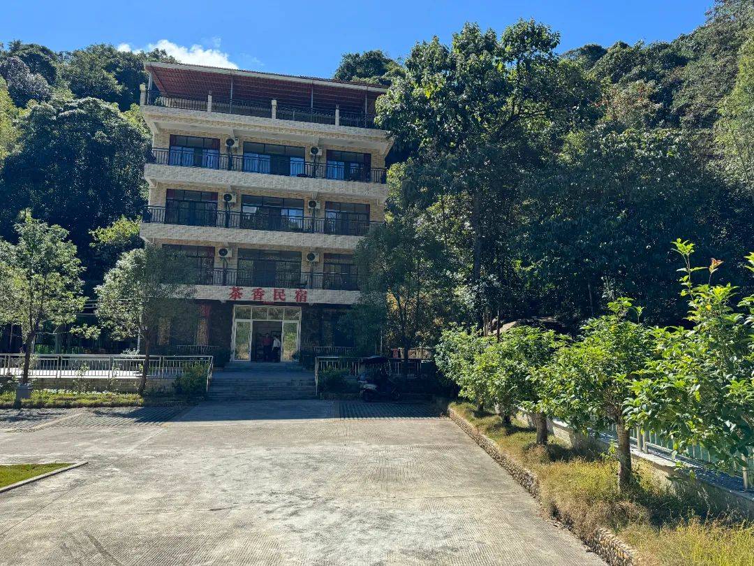 南昆山生态旅游区下坪社区:激活生态密码,打造