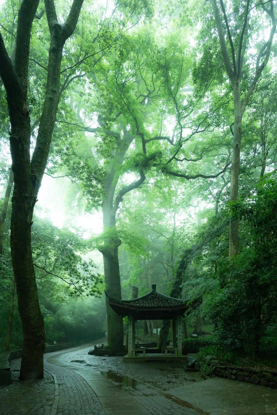 你说梅雨很烦 我说烟雨江南